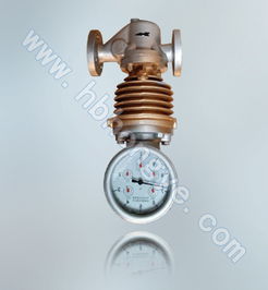 泊頭儀表廠分流旋翼式蒸汽流量計(jì),廠家直銷,流量計(jì)價(jià)錢高清圖片 高清大圖